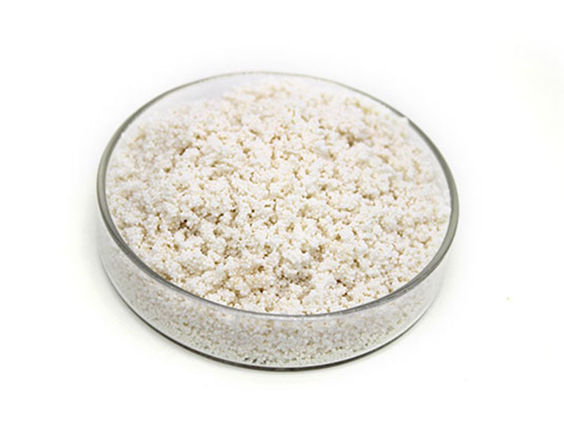 Macroporous Adsorption Resin.jpg